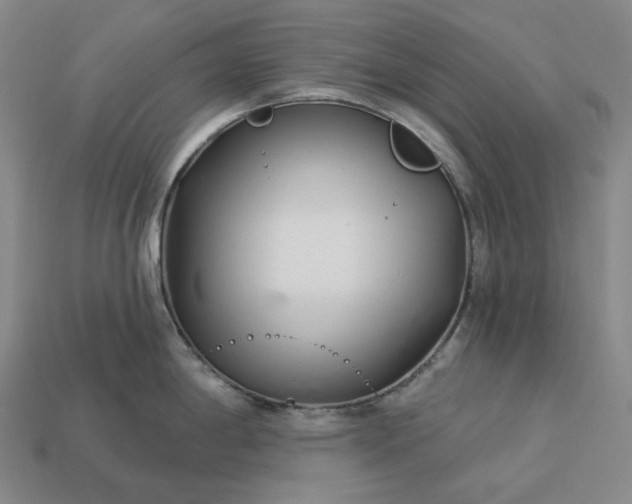 X0000112941198200909071048