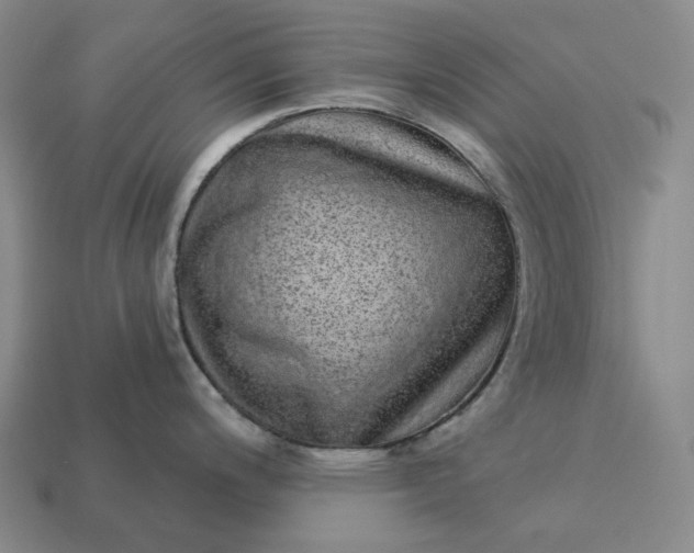 X0000112941200200909071048