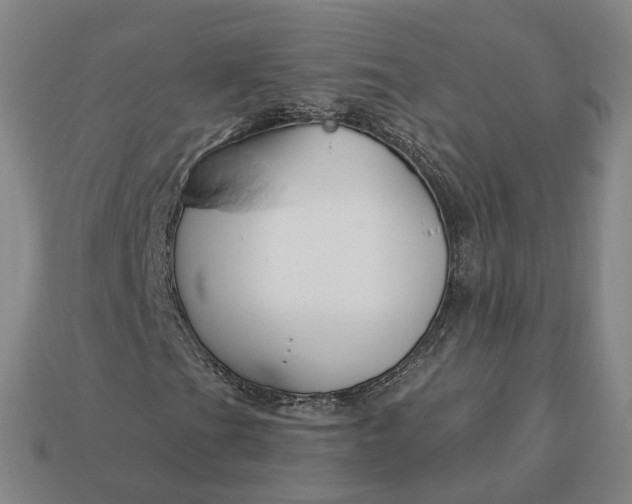 X0000112941201200909071047