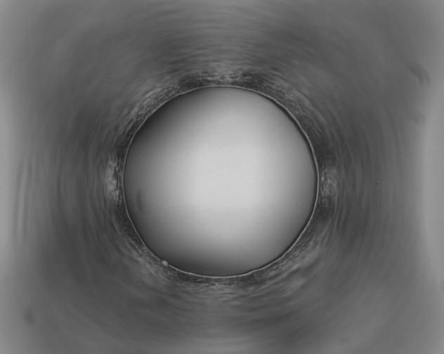 X0000112941202200909071047