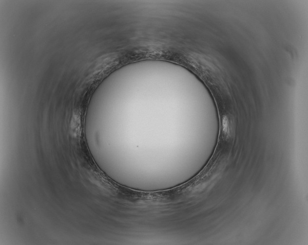 X0000112941203200909071047