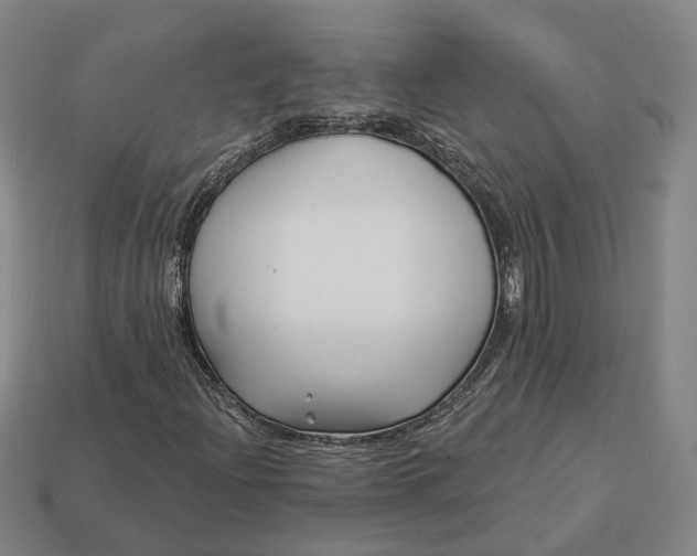 X0000112941204200909071047