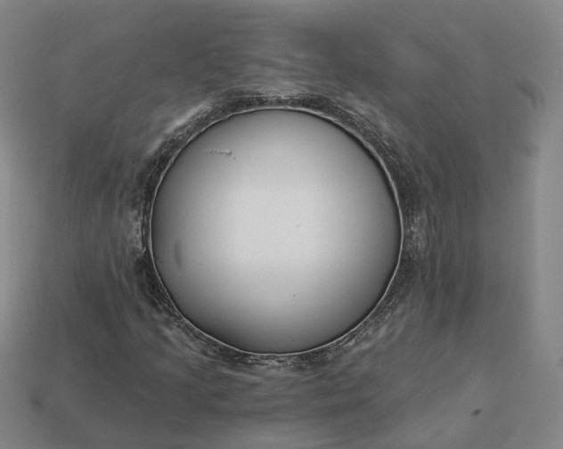 X0000112941205200909071047