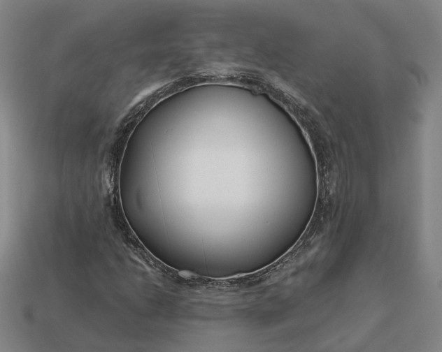 X0000112941206200909071047