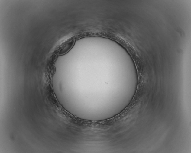 X0000112941207200909071047