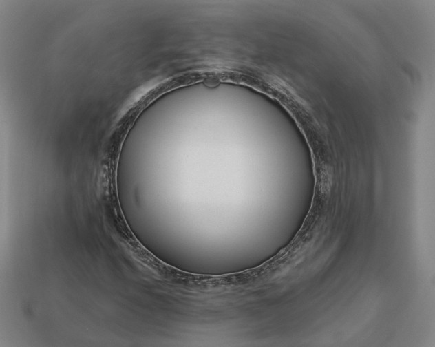 X0000112941208200909071047