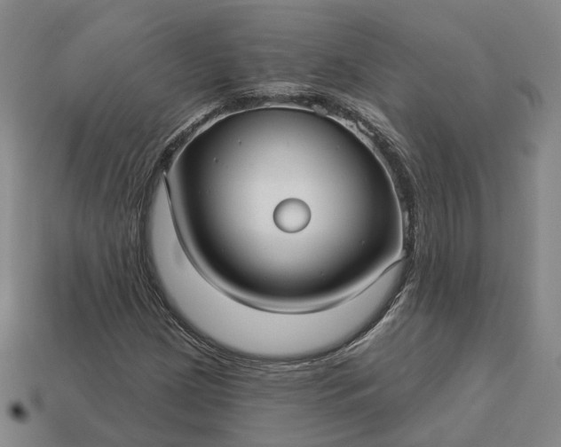 X0000112941209200909071047