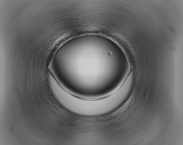 X0000112941210200909071047