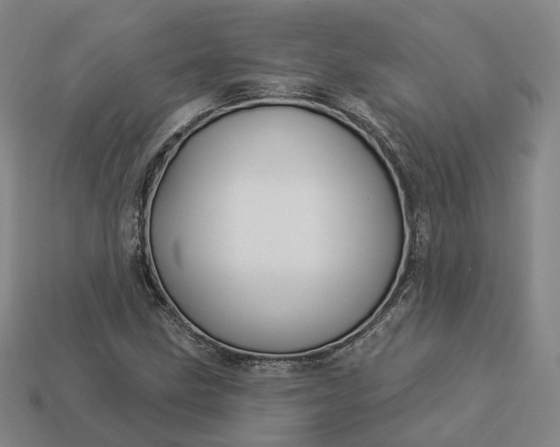 X0000112941211200909071047