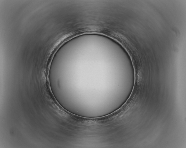 X0000112941212200909071047