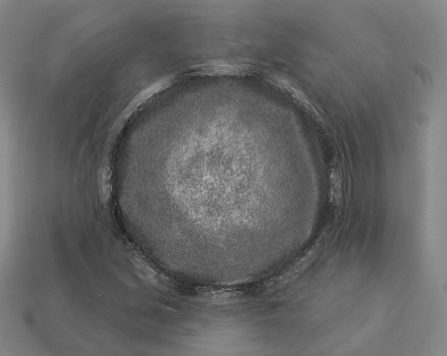 X0000112941213200909071047