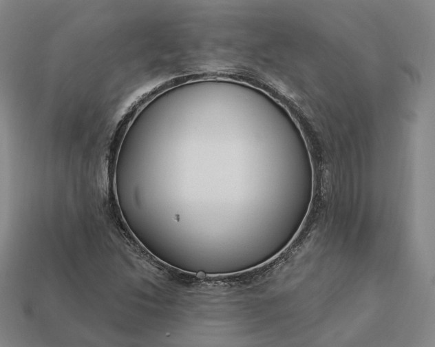 X0000112941214200909071047