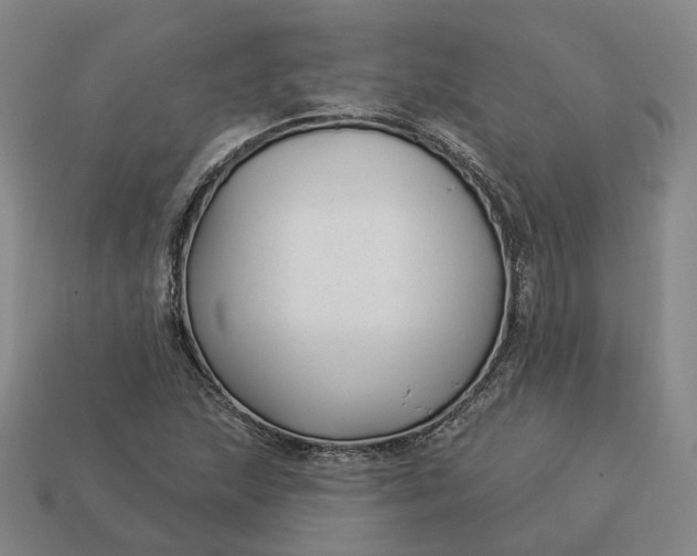 X0000112941215200909071047