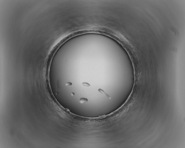 X0000112941216200909071047