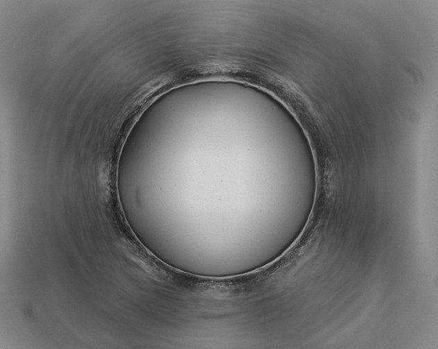 X0000112941217200909071047