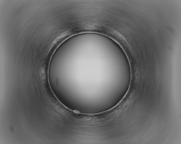 X0000112941218200909071047