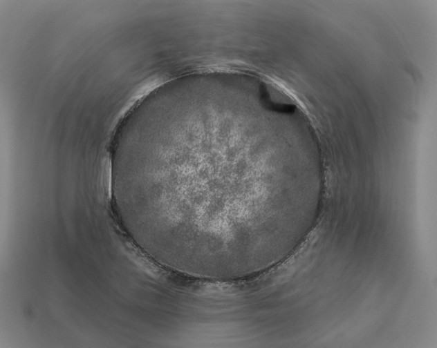 X0000112941219200909071047