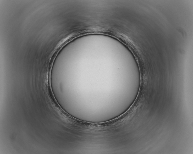 X0000112941220200909071047