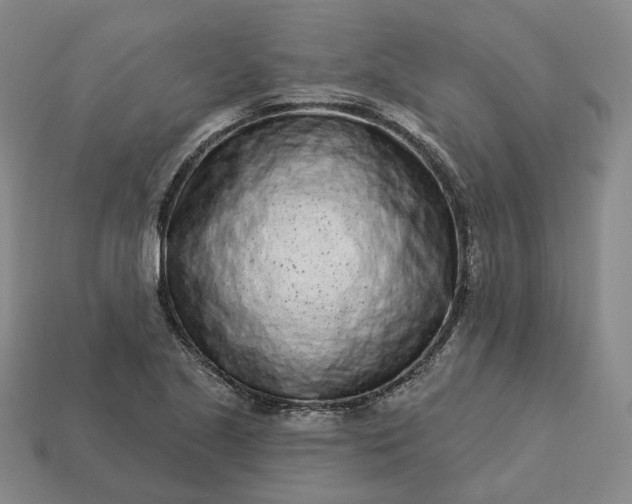 X0000112941221200909071047