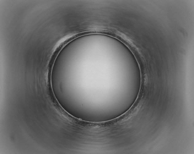 X0000112941222200909071047