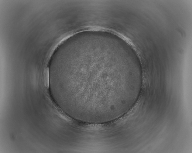 X0000112941223200909071047