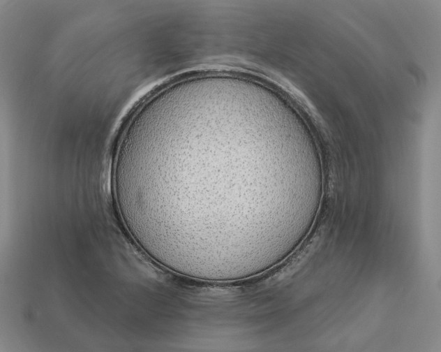 X0000112941224200909071047