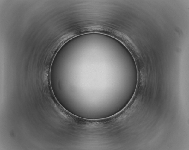 X0000112941225200909071047