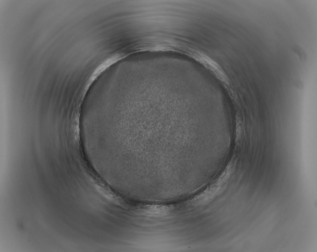 X0000112941226200909071047