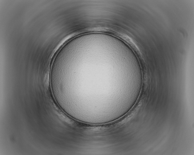 X0000112941228200909071047