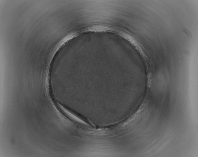 X0000112941229200909071047