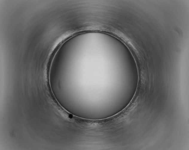 X0000112941230200909071047