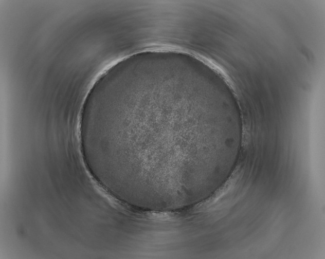 X0000112941231200909071047