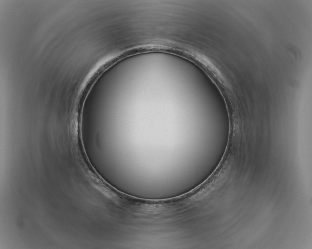 X0000112941232200909071047