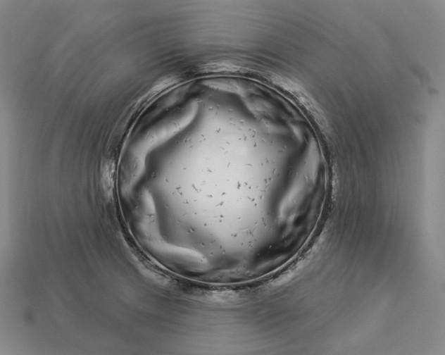 X0000112941233200909071047