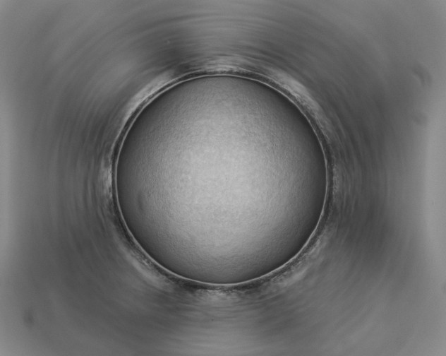 X0000112941234200909071047