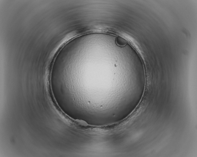 X0000112941235200909071047