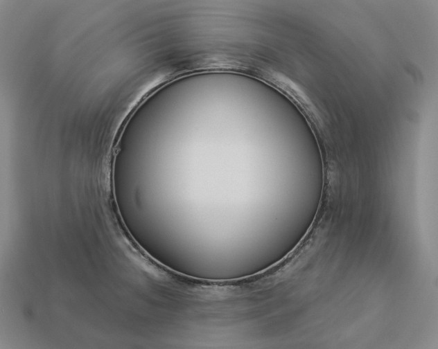 X0000112941236200909071047