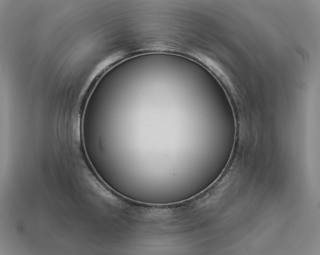 X0000112941238200909071048