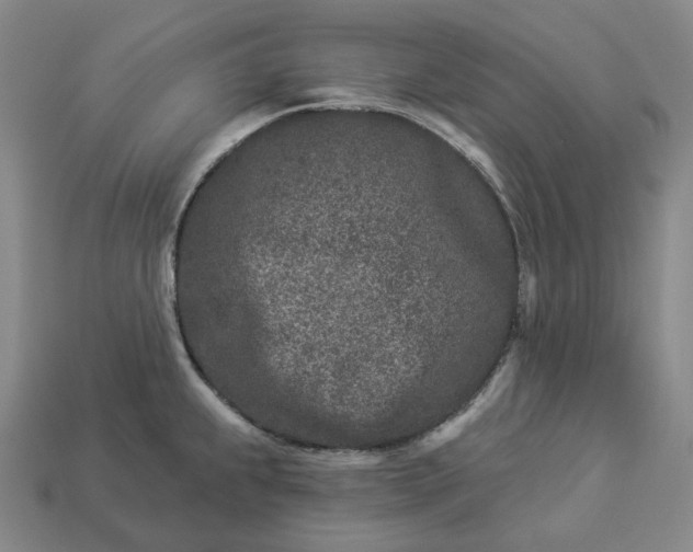 X0000112941239200909071048