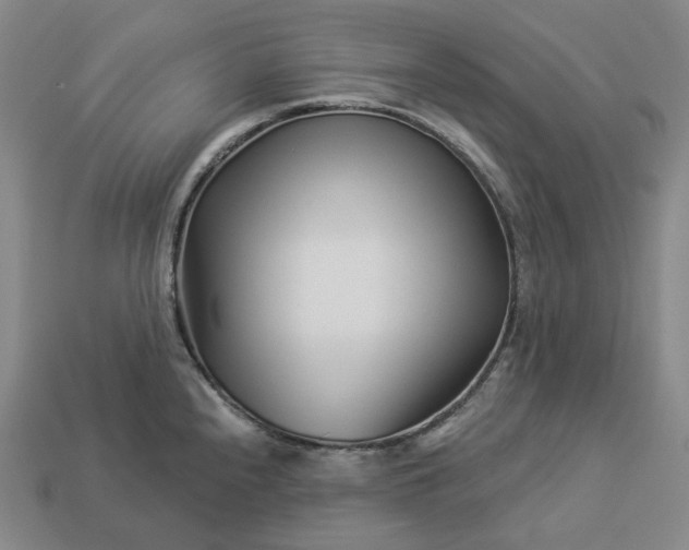 X0000112941240200909071048