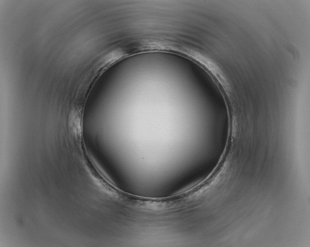 X0000112941241200909071048