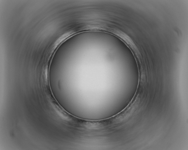 X0000112941242200909071048