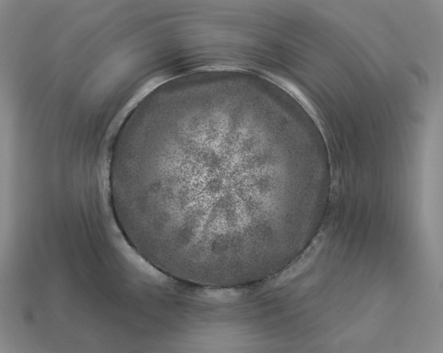 X0000112941243200909071048