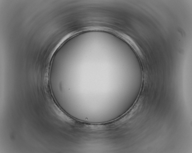 X0000112941244200909071048