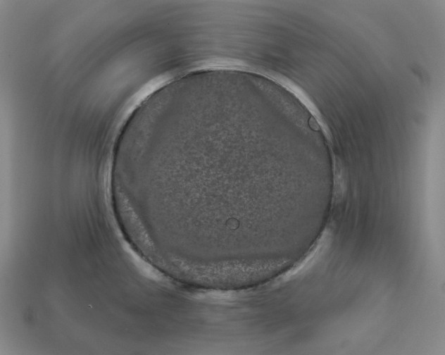 X0000112941245200909071048