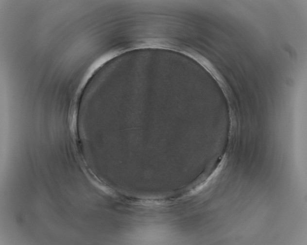 X0000112941246200909071048