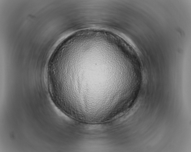 X0000112941247200909071048