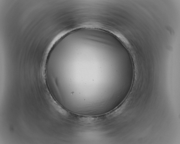 X0000112941248200909071048