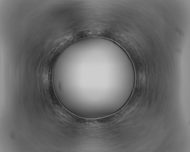 X0000112941250200909071047