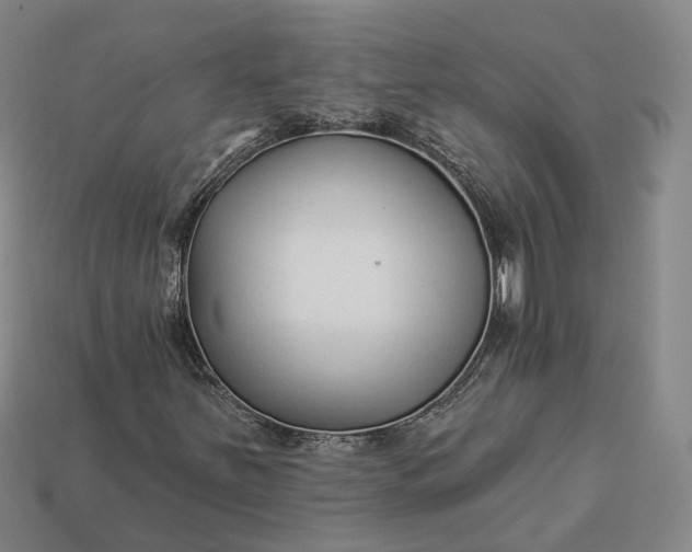 X0000112941251200909071047